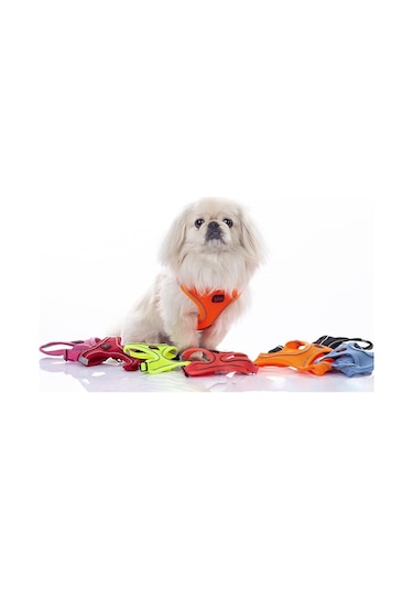 Tailpetz Air Mesh Harness Göğüs Tasması Neon Kırmızı Medium