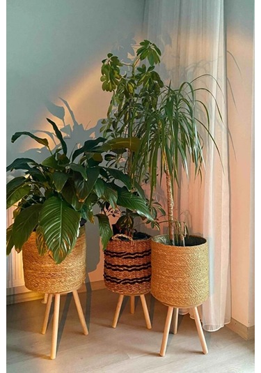 3'lü Zigon Sehpa Seti Saksılık Ve Çiçeklik Standı, Dekoratif Yan Sehpa Ahşap Ayaklı 33 Cm Çap - Atlantik Çam Atlantik Çam