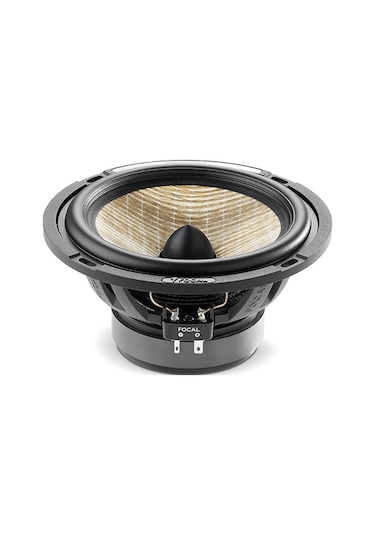 Özenhifi' Den Focal Flax Evo Ps 165 Fxe