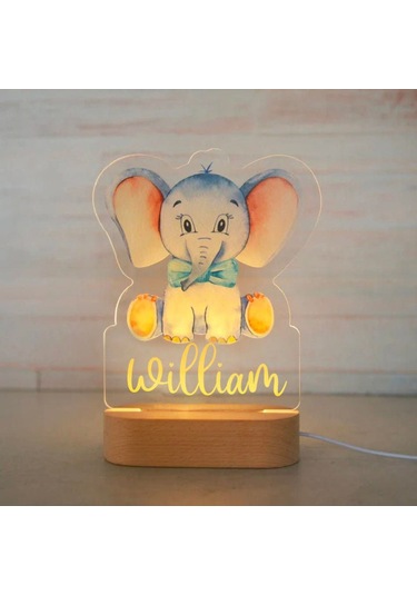 Kişiye Özel Çocuklar İçin Hayvan Gece Lambası İsimli Akrilik Lamba 4 Çok Renkli