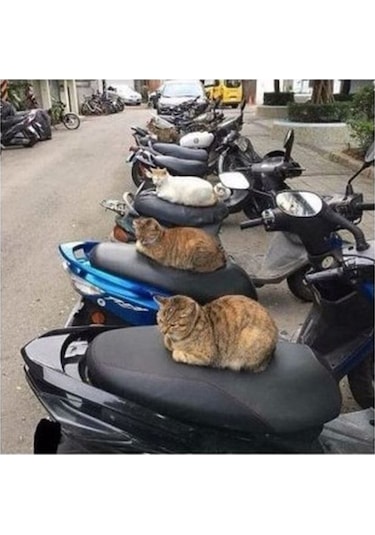 Pcx Nmax Sym Vb Modelleri Uygun Scooter Universal Motosiklet Siyah Sele Kılıfı Motor Koltuk Brandası