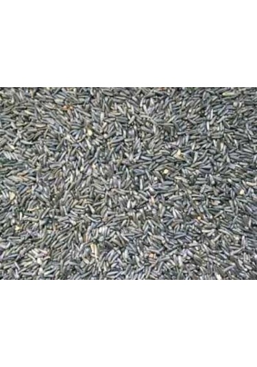 2kg Ni̇jer Tohumu Yemli̇k