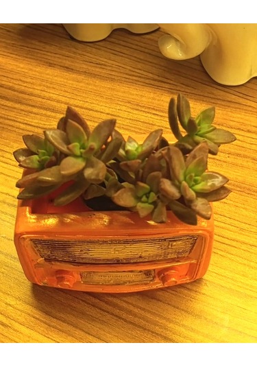 Artepieza Retro Radyo Sukulent Saksısı Ve Kalemlik - Masaüstü Dekoratif Organizer Turuncu 12 8 12cm