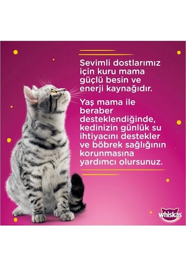 Whiskas Ton Balıklı Yetişkin Kedi Konserve Yaş Maması 24x400 Gr