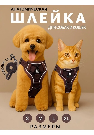Tori Küçük Ve Orta Irklar İçin Tasmalı Köpek Kayışı Ve Kedi Şeridi 417829533