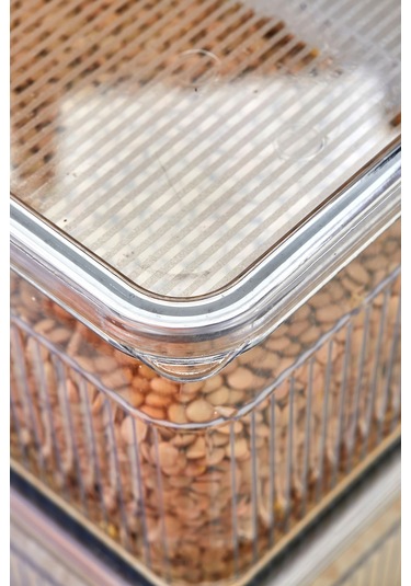 3 Parça Contalı Ve Sızdırmaz Kapaklı Saklama Kabı Seti Buzdolabı Ve Kuru Gıda Uyumlu 3x3600 Ml Şeffaf