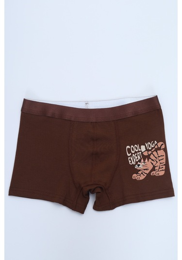 Toontoy Erkek Çocuk Çok Desen Baskılı 4lü Paket Boxer Çok Renkli