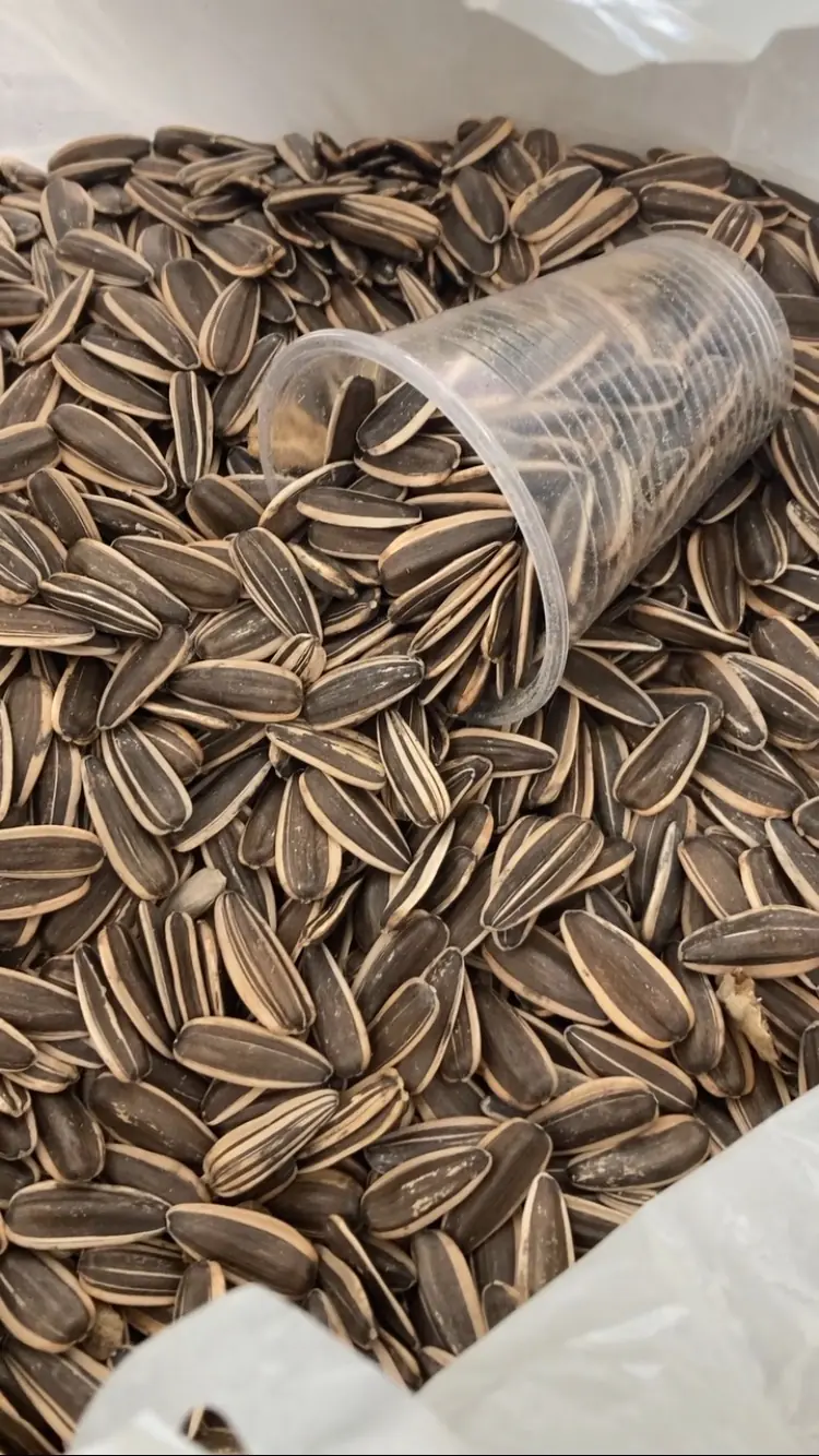 500 Gr Çiğ Siyah Beyaz Çizgili Ay Çekirdeği Doğal & Katkısız