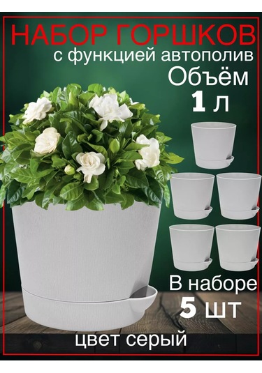 Interm Menekşeler, Sukulentler Ve Kaktüsler İçin Küçük Çiçek Saksısı 211028815
