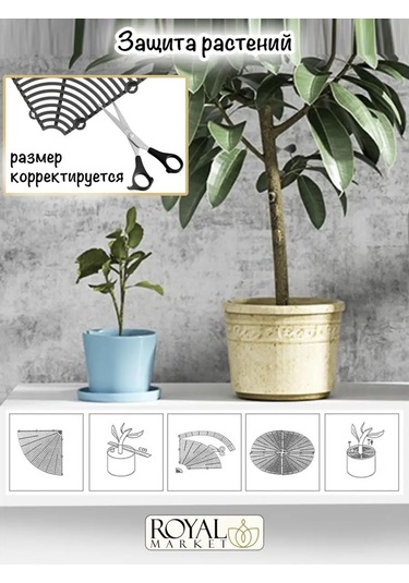 Royal Market Bitki Koruma 109206595