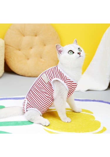 Hangfox Kedi Cerrahi Sonrası Kıyafeti - Doğum Sonrası Koruma Giyimi, Yara Yalama Engeli, Veteriner Onaylı 23'lü Paket Kırmızı Çizgili