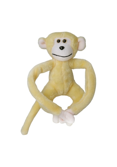 Afacan Maymun - Anatoya