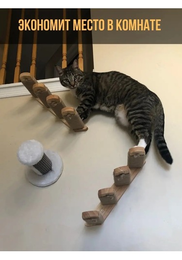 Go Cats Tırnak Törpü Merdiveni Sağ 142902982