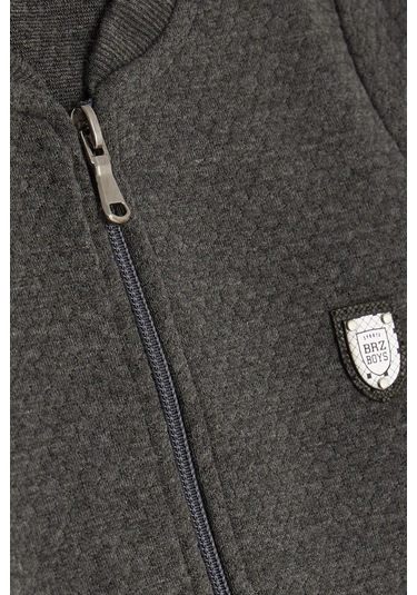 Breeze Erkek Çocuk Hırka Basic Cepli Armalı 2-6 Yaş, Füme-füme