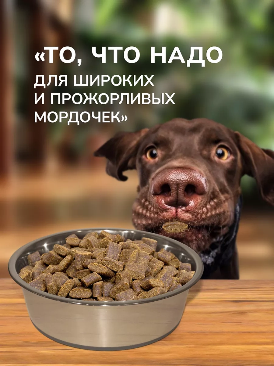 Misterbully Orta Irk Köpekler İçin Metal Mama Kabı, 2x900ml 200302409