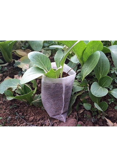 100 Adet / Paket Kreş Saksıları Fide Yetiştirme Torbaları Çevre Dokumasız Kreş Torbaları