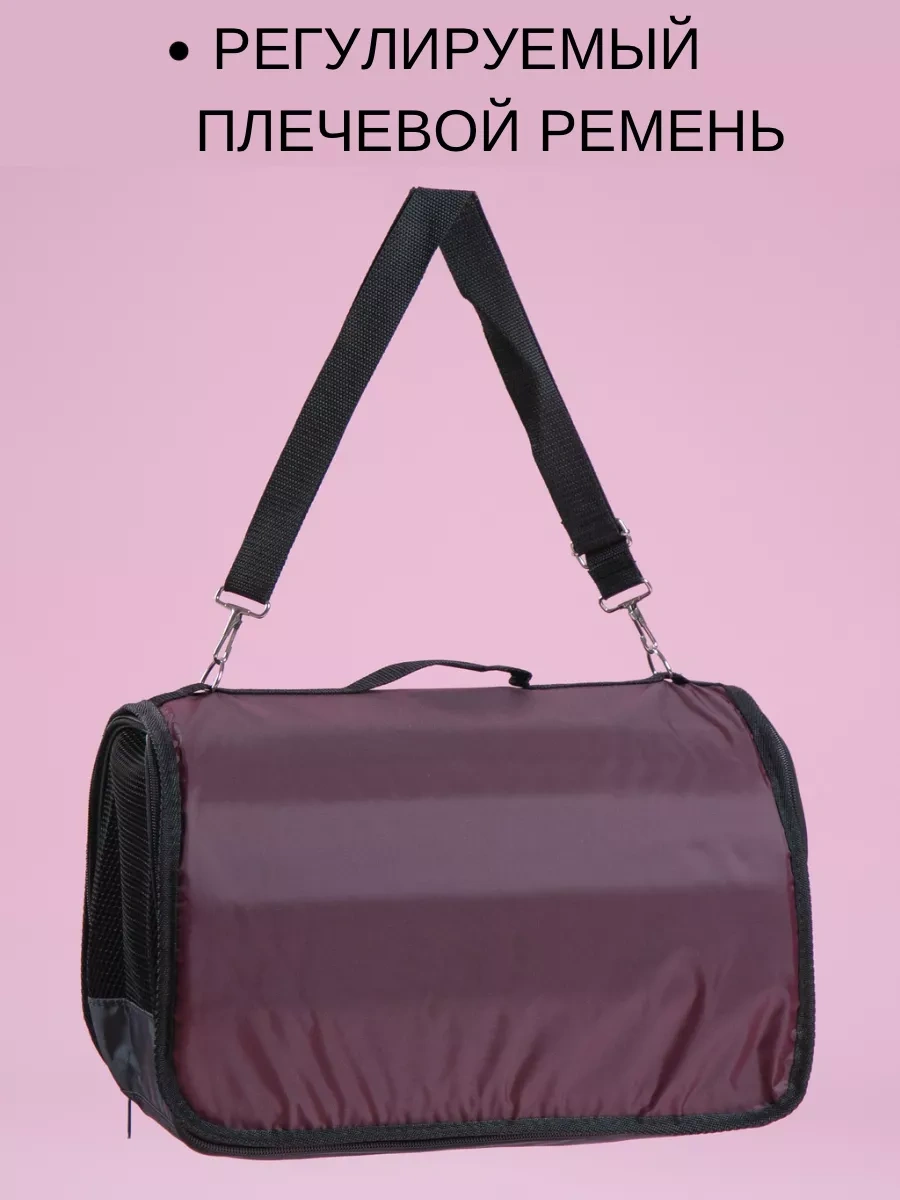 Bobrıkgora Katlanabilir Kedi Ve Köpek Taşıma Çantası 103769062