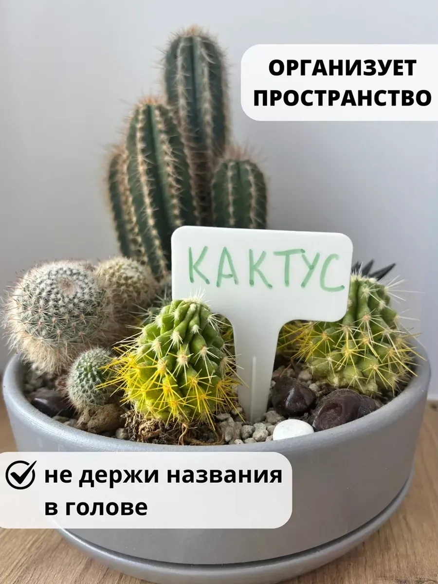 Domsadmarket Fide Ve Bitkiler İçin Bahçe Tabelaları 100 Ad 154102602