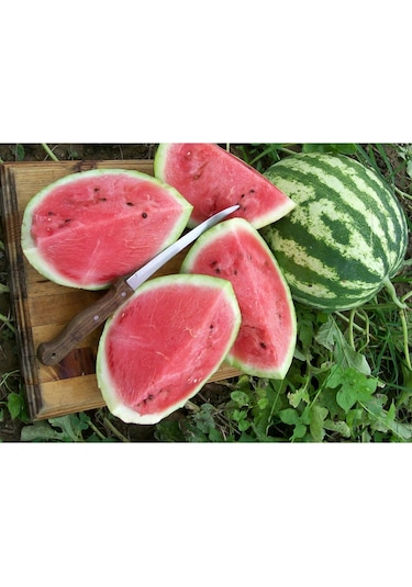 All Sweet Atalık Karpuz Tohumu