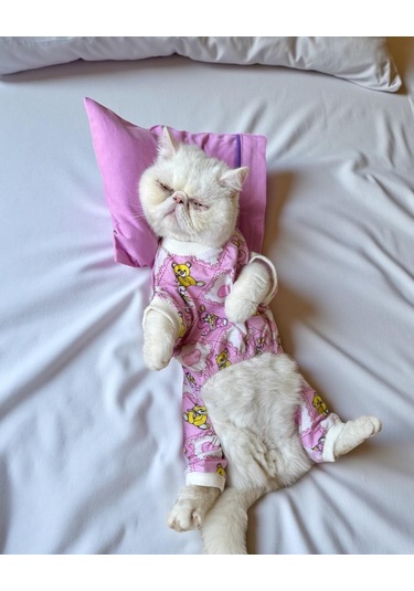 Toad Teddy Penye Kedi Tulum Ve Yastık Takım Uyku Seti
