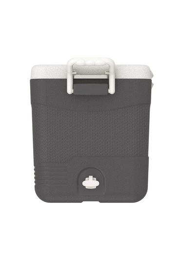 Icepeak Coolcraft 46 Buzluk 41.6 Litre Antrasit Antrasit