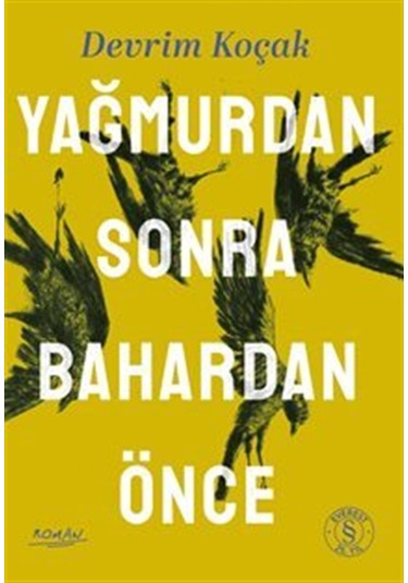 Yağmurdan Sonra Bahardan Önce / Devrim Koçak