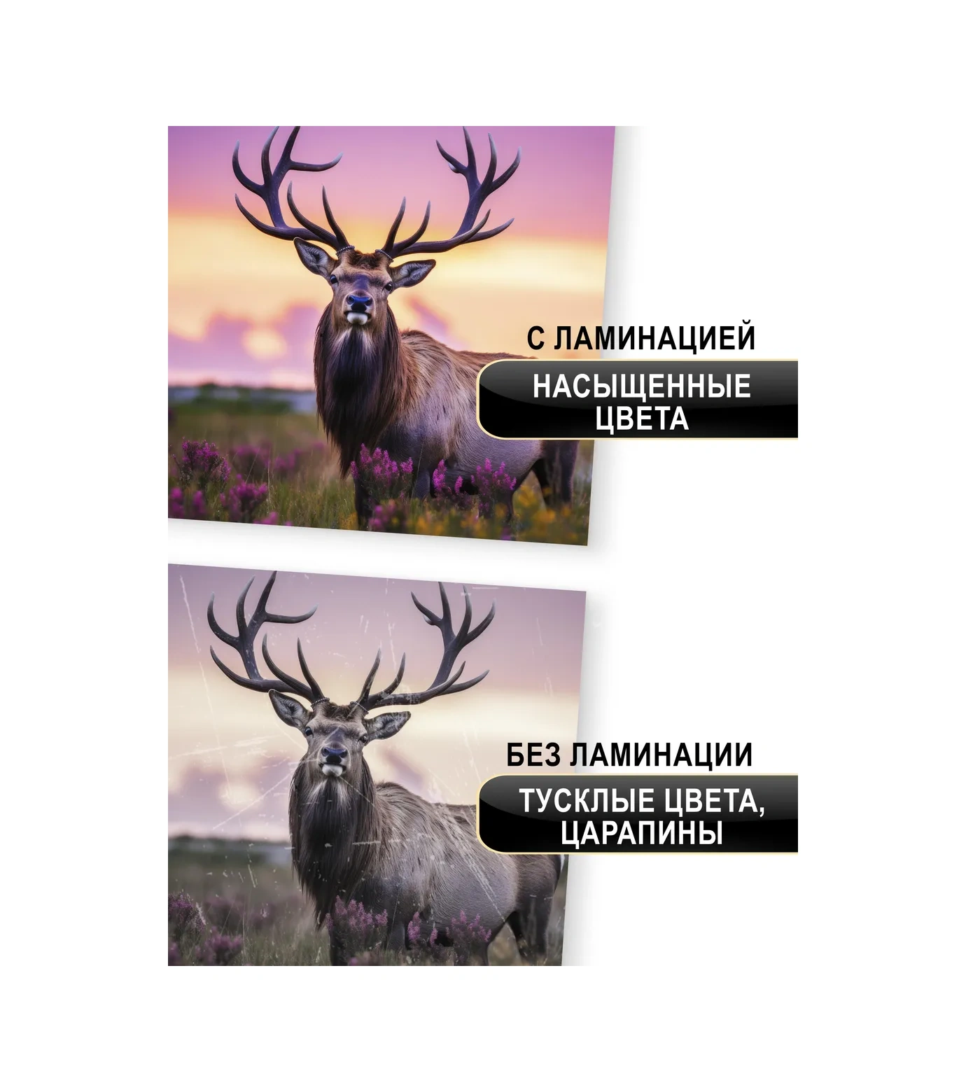 Lumirance A4 Parlak Laminasyon Filmi 80 Mikron, 30 Adet 279750933