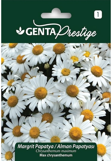 Genta - Margrit Papatya - Alman Papatyası Tohumu