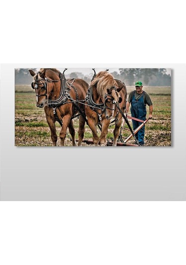 Atlar Ve Tarla Kanvas Tablo