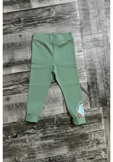 Elsa Desenli Yeşil Renk Kız Çocuk Taytlı Takım Yeşil