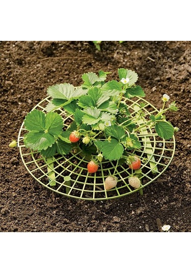 Yifomall "pratik Çilek Desteği - Topraktan Koruma, Kolay Kurulum, Dayanıklı Pe Malzeme"