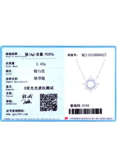 Tancise S925 Ayar Gümüş Işık Lüks Delikli Ay Kolye Kolye Kadın Moda Çok Yönlü Kolye