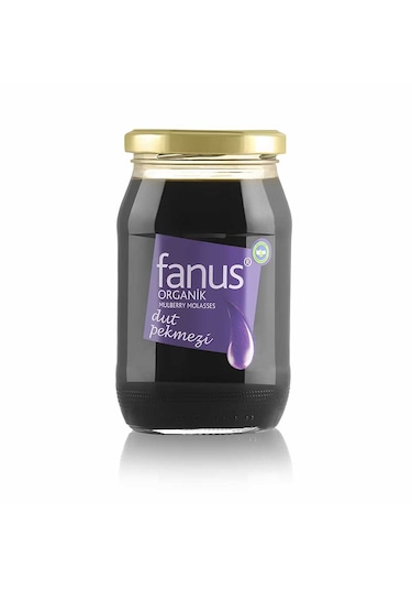 Fanus Organik Dut Pekmezi 450 G