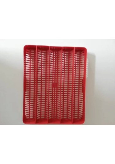 30 lu Kaz Gelişim viyolu