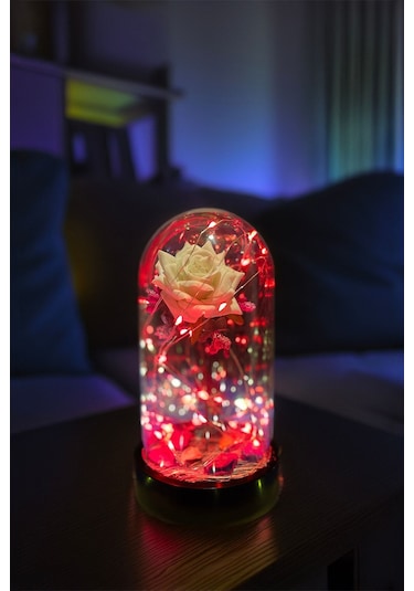 Anneler Gününe Özel Beyaz Gül Kırmızı Fanus Lamba Usb'li Yapay Çiçek Dekoratif Aydınlatma Hediyelik