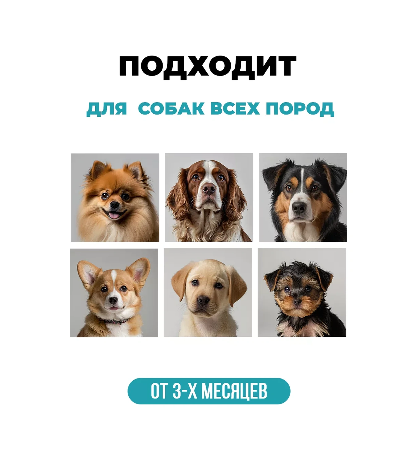 Spets Köpekler İçin Koku Giderici Hipoalerjenik Şampuan, 500 Ml 188453615