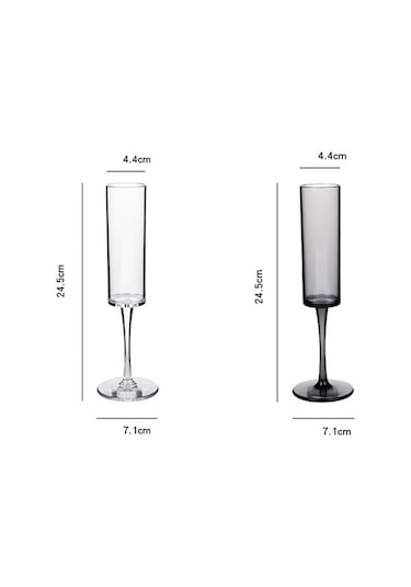 Sones 165ml Ev Tipi Akrilik Şampanya Bardakları