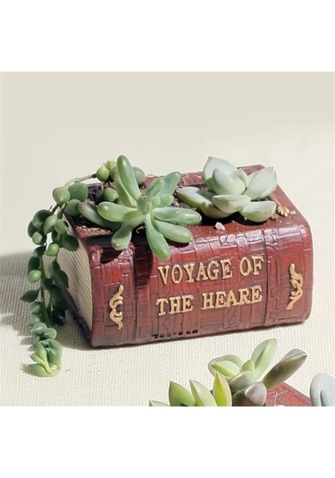 Edebiyat Kitabı Sukulent Saksı Gerçekçi Kitap Saksı