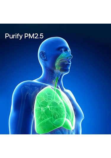 Qingmipy Taşınabilir Boyunluk Hava Temizleyici - Negatif İyonlu, 96% Temizlik, 24 Saat Kullanım