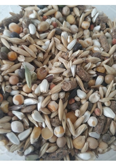 Goldmind Mix Karışım Kemirgen Yemi 2 KG