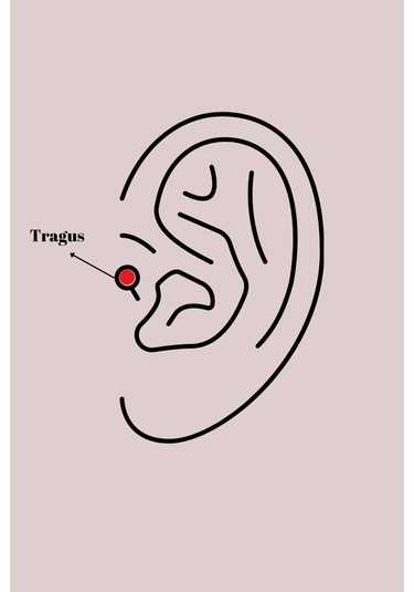 316l Çelik Gümüş Renk Zirkon Taşlı Tragus Piercing - Prt3500eb02961-8024 Gümüş