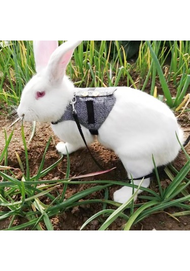 Lemestar Tavşan Kedi Küçük Köpek İçin Pamuklu Tasma, Sakal Giyimi, Boyut L Boyun 25-30cm, Gögüs 34-44cm