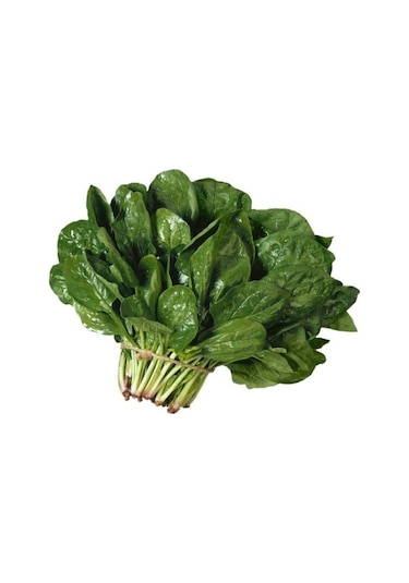 Tohumculuk Süper Paket 1000 Tohum Geleneksel Ispanak Tohumu