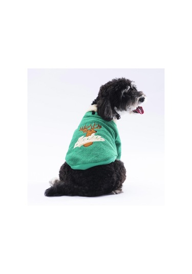 Pawstar Yeşil Alaska Esnek, Küçük Irk Triko Köpek Trikosu