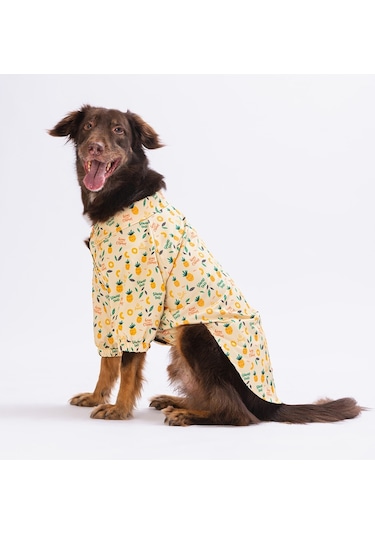 Pawstar Pineapple Büyük Köpek Gömleği Kıyafeti