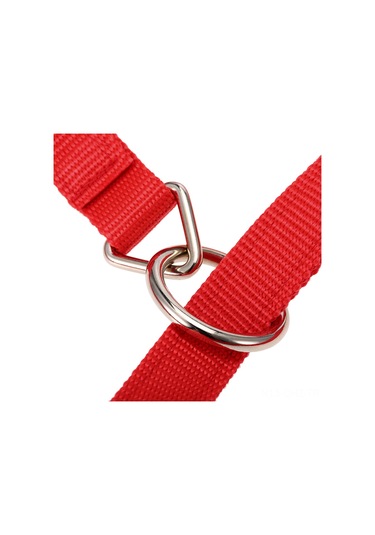 Aubyhe Kırmızı M Boyu At Kepçesi - 6mm Kalın Pp + Nikel Kaplı Demir + Çinko Alaşımlı, Ayarlanabilir Ve Dayanıklı