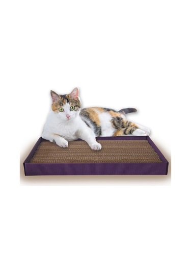 Kedi Tırmalama Dalgalı Ondüle Karton Kutulu 24 x 48 CM