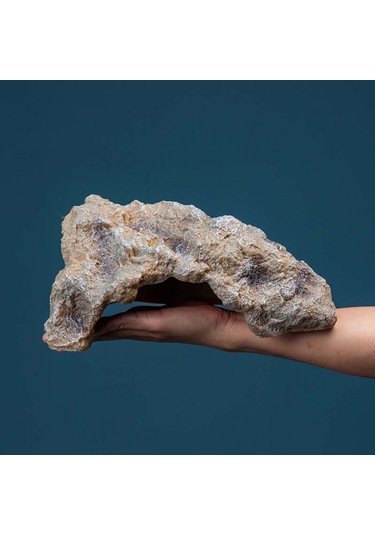 Sones L Sürüngen Simülasyonu Kayalar Saklanma Evi Kaplumbağa Şezlong