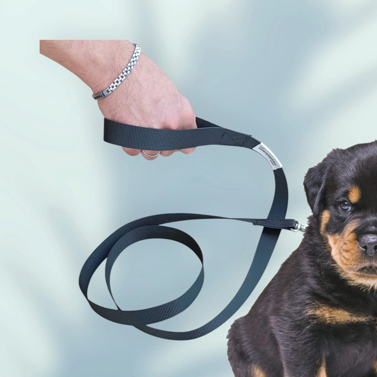 Mcg Köpek Gezdirme İpi Renkli
