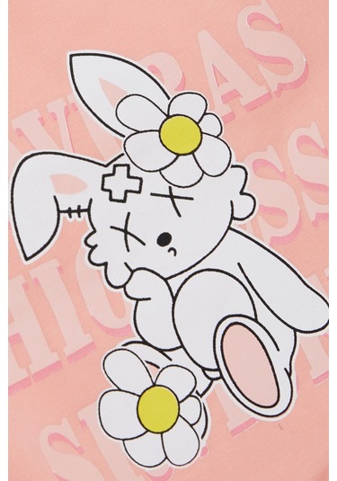 Breeze Kız Çocuk Sweatshirt Tavşancık Baskılı 1.5-5 Yaş, Somon-somon Somon Breeze Kız Çocuk Sweatshirt Tavşancık Baskılı 1.5-5 Yaş, Somon-somon Somon